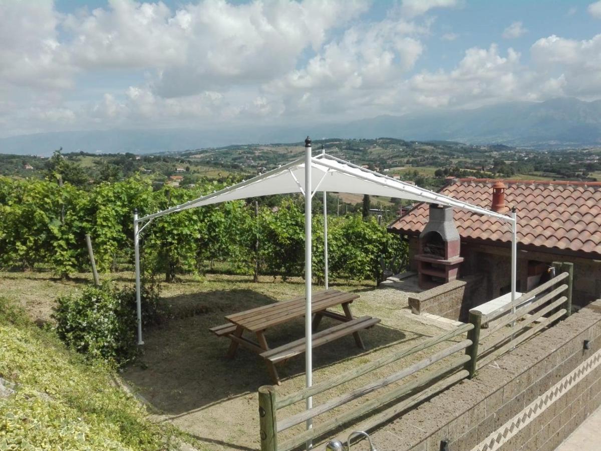 Villa Santoro Ai Tre Ulivi Con Piscina Privata Caiazzo Dış mekan fotoğraf